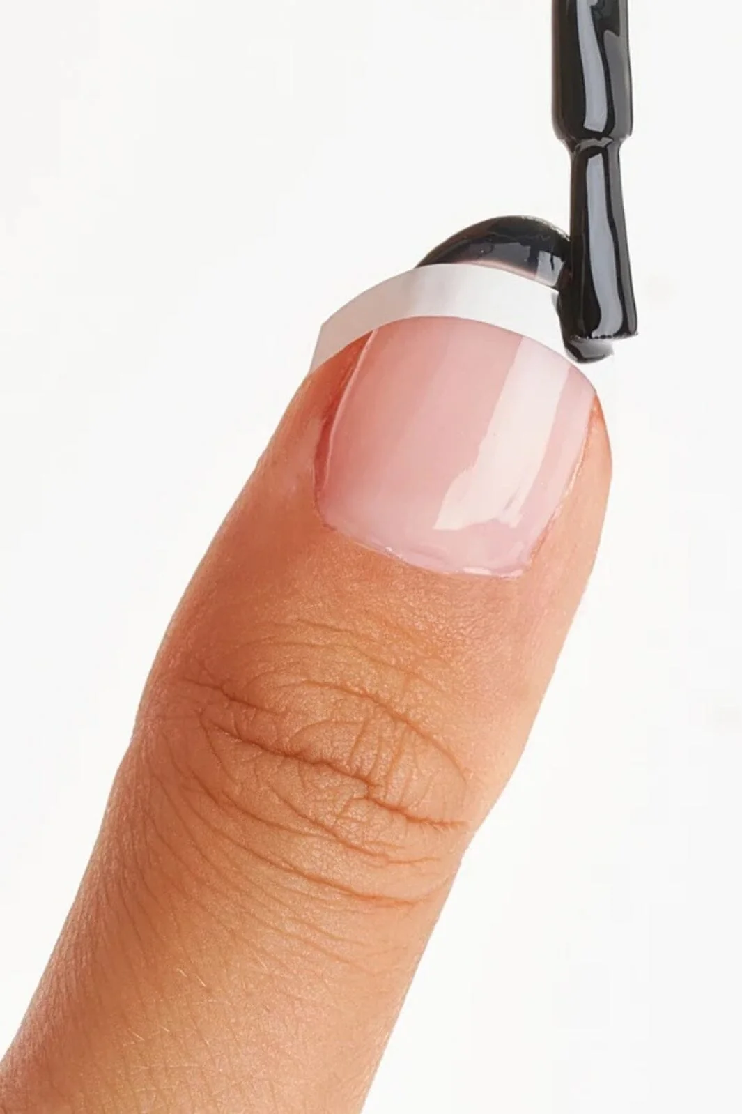 Le Mini Macaron - Le Frenchie FREN002 - Sort - Image 3